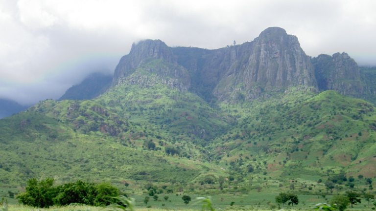 African scientists say green future at stake amid deforestation