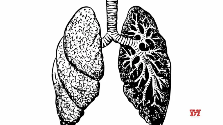 Lung blood clot risk double in Covid survivors: US CDC